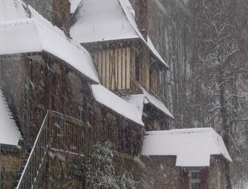 Le Moulin Fleuri Du Petit Appeville Exterior photo